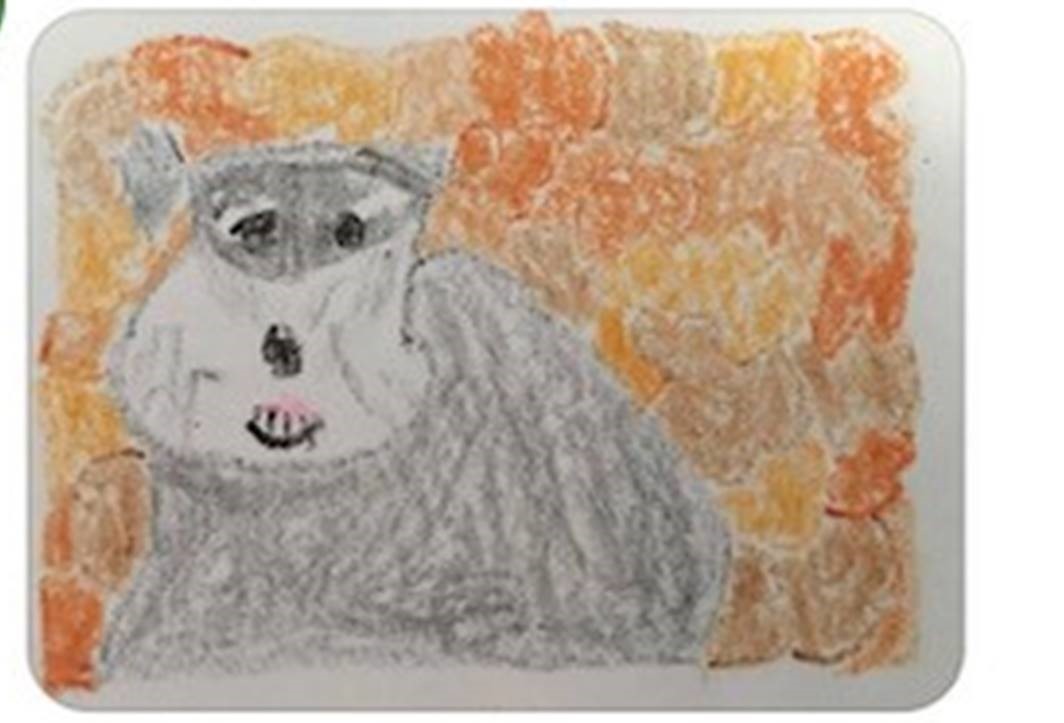 bad pet portrait AFTER.jpg