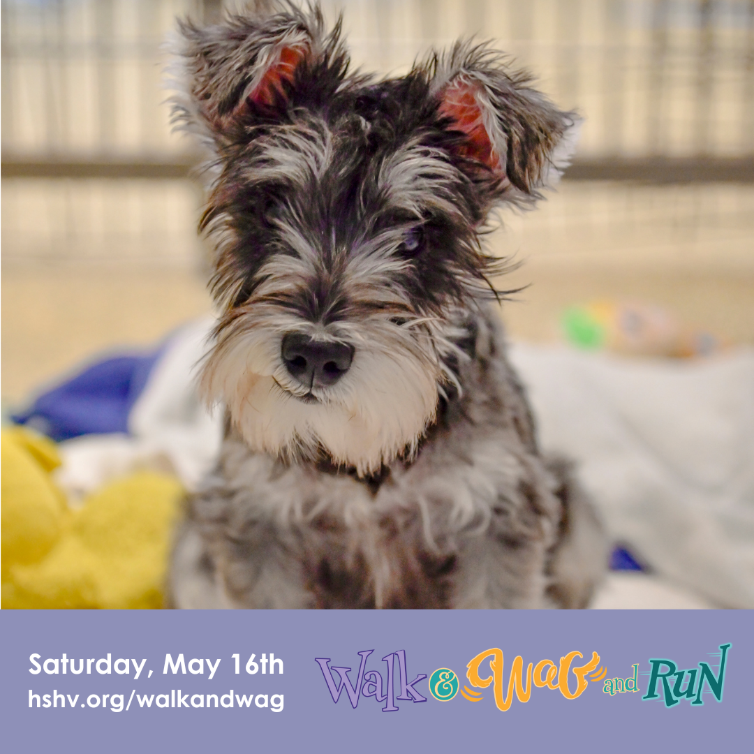 Sample Social Posts.png