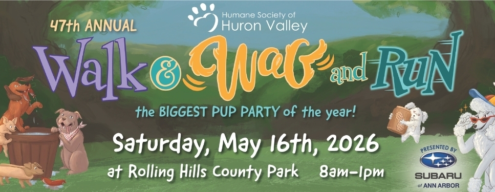 Walk & Wag and Run 2026